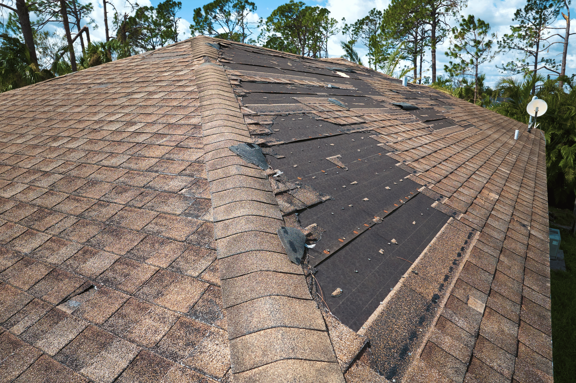 Roof with missing roofing tiles.