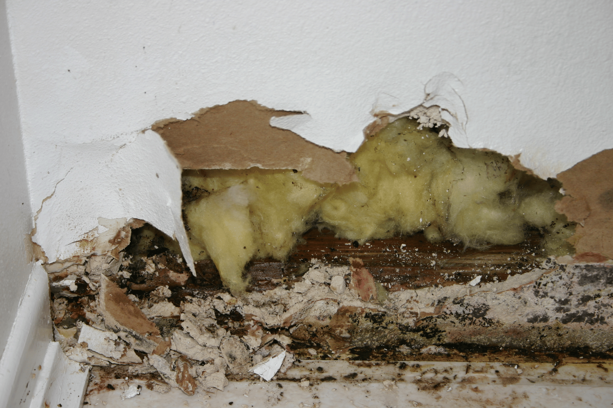 Drywall damage from mold growth.
